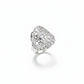 Mimesis sterling silver ring